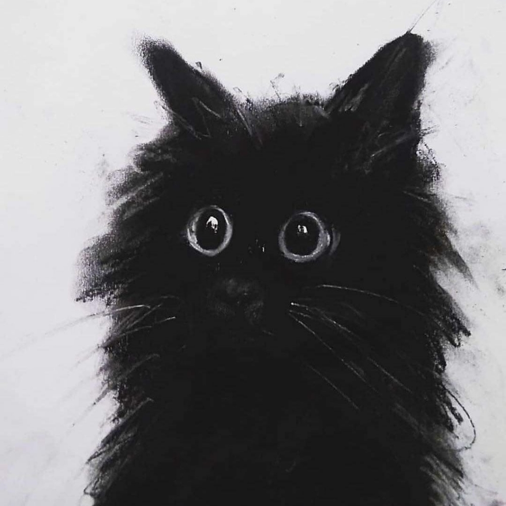 Meet your Posher, Whirlyn